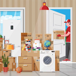 Home Improvement